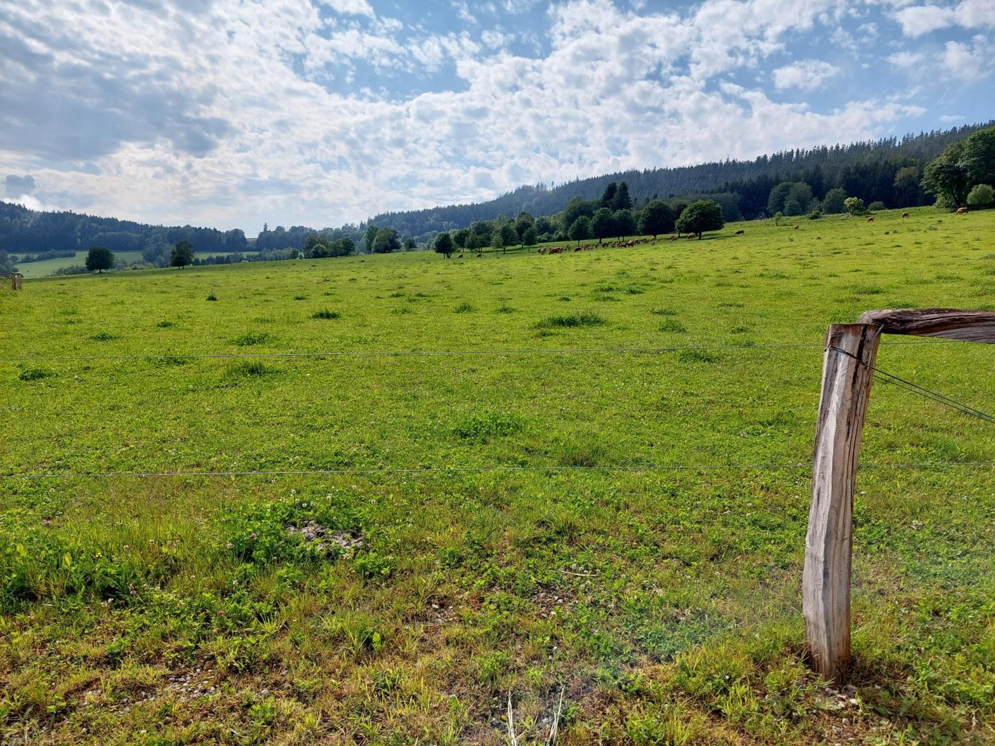 Penzion Slupecna Lipno nad Vltavou Εξωτερικό φωτογραφία